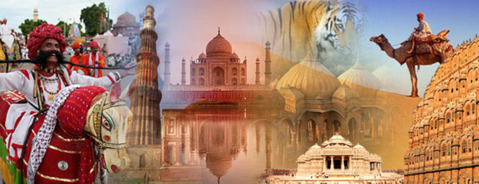 golden triangle tour package